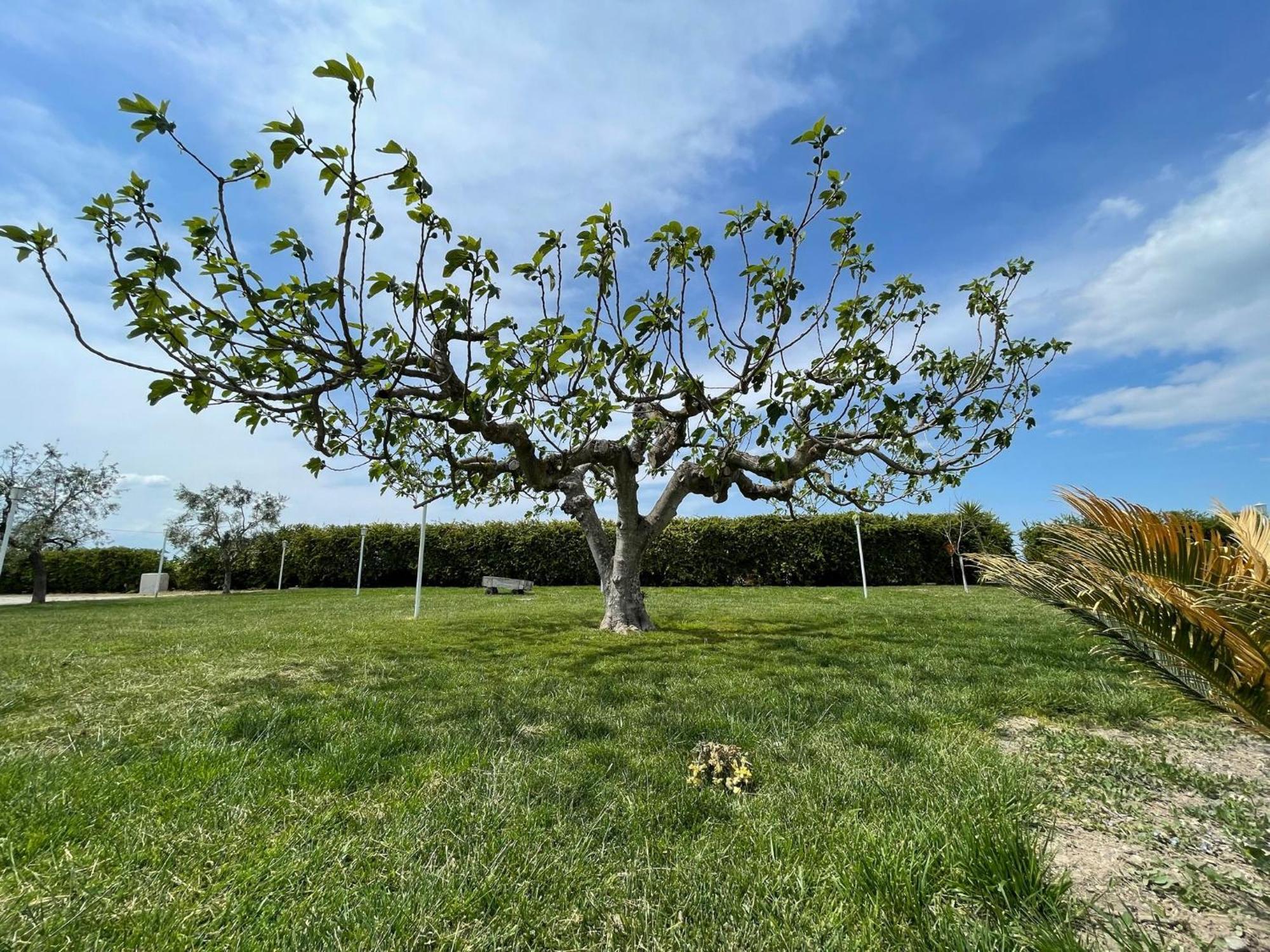 Orta Nova La Massaria Agriresort מראה חיצוני תמונה