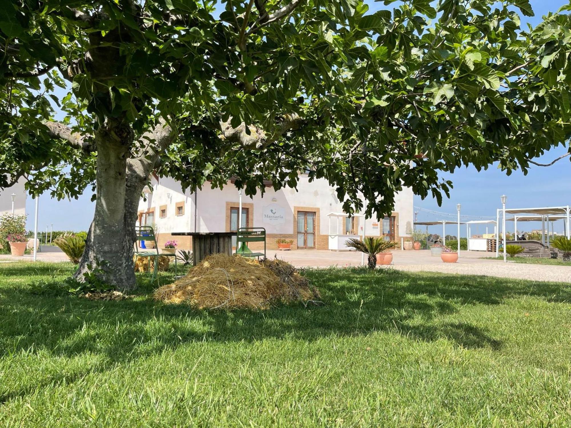 Orta Nova La Massaria Agriresort מראה חיצוני תמונה
