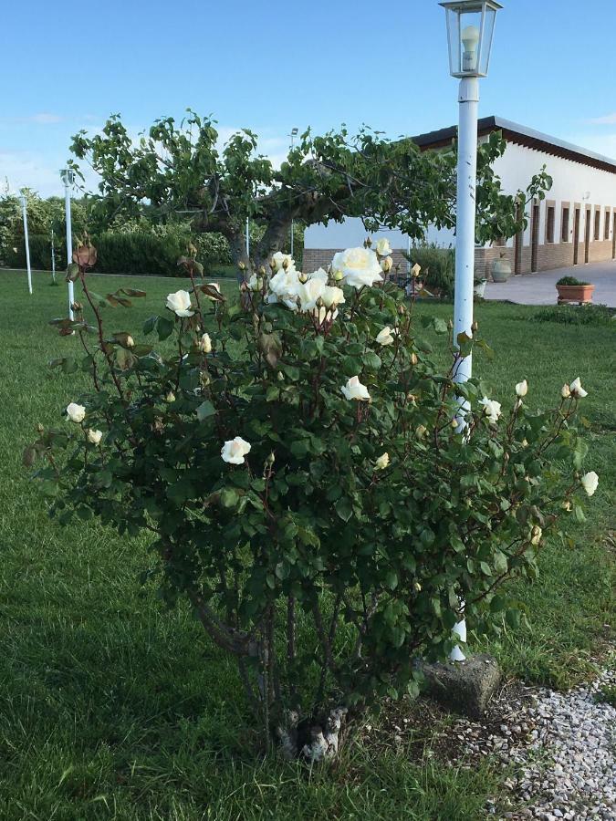 Orta Nova La Massaria Agriresort מראה חיצוני תמונה
