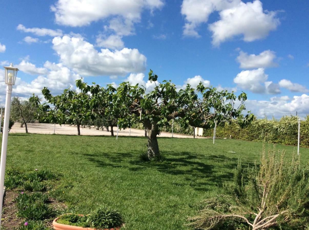 Orta Nova La Massaria Agriresort מראה חיצוני תמונה